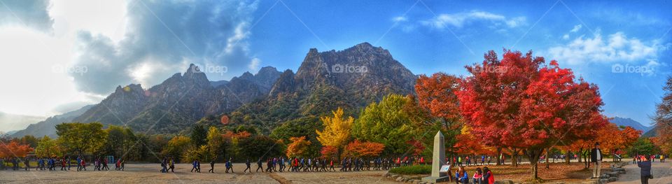 mt. sorak landscape