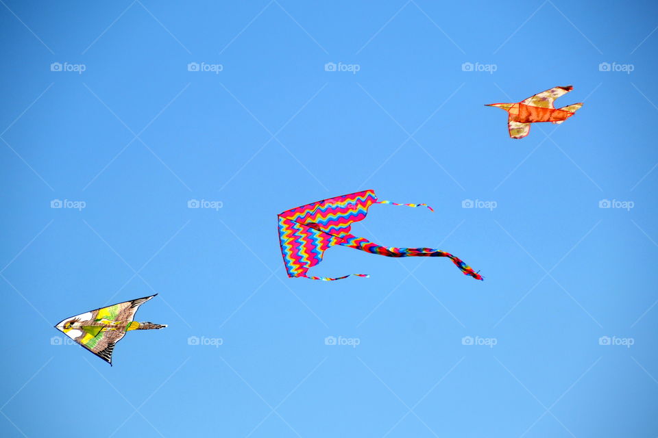 colorful kites flying in the blue sky