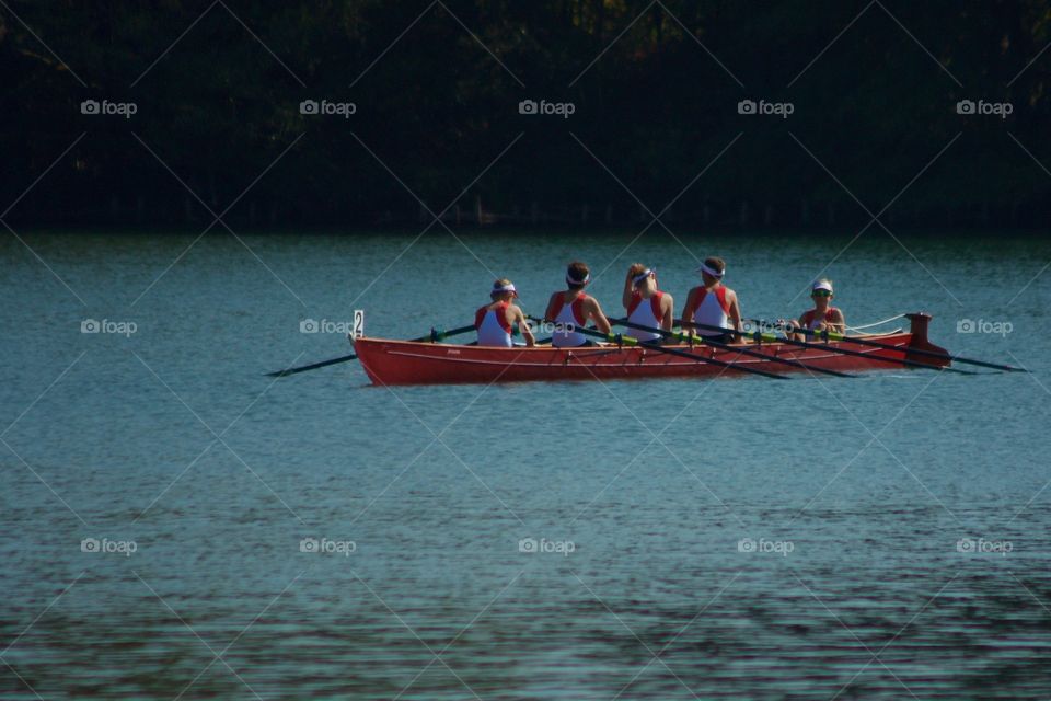 Rowing Competition In Sursee,Luzern