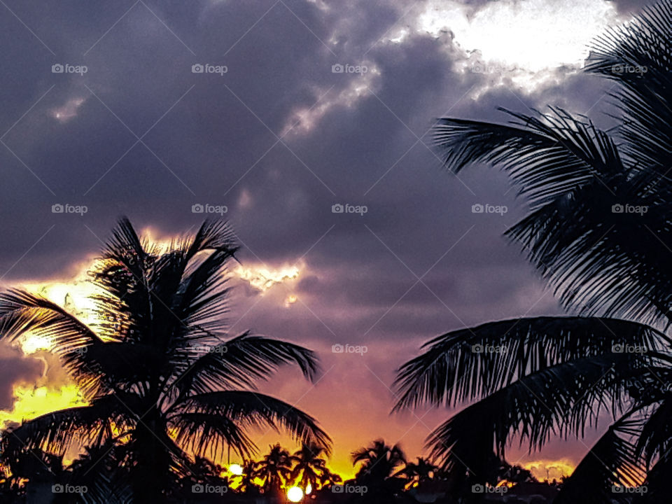 dawn in the tropics always creates very beautiful pictures. impressions for the whole day