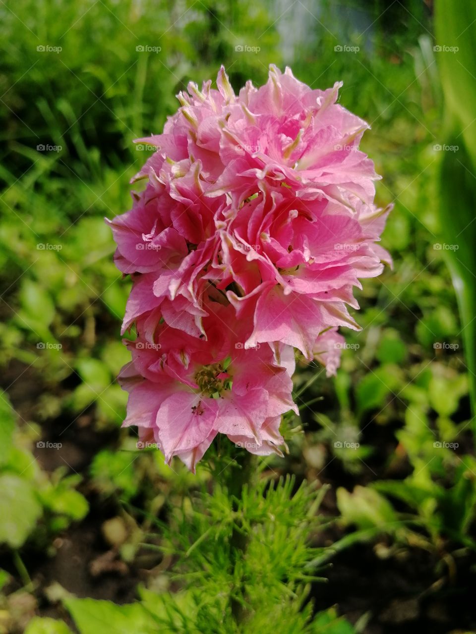 Книга природы есть неисчерпаемый источник познаний и вдохновения для человека