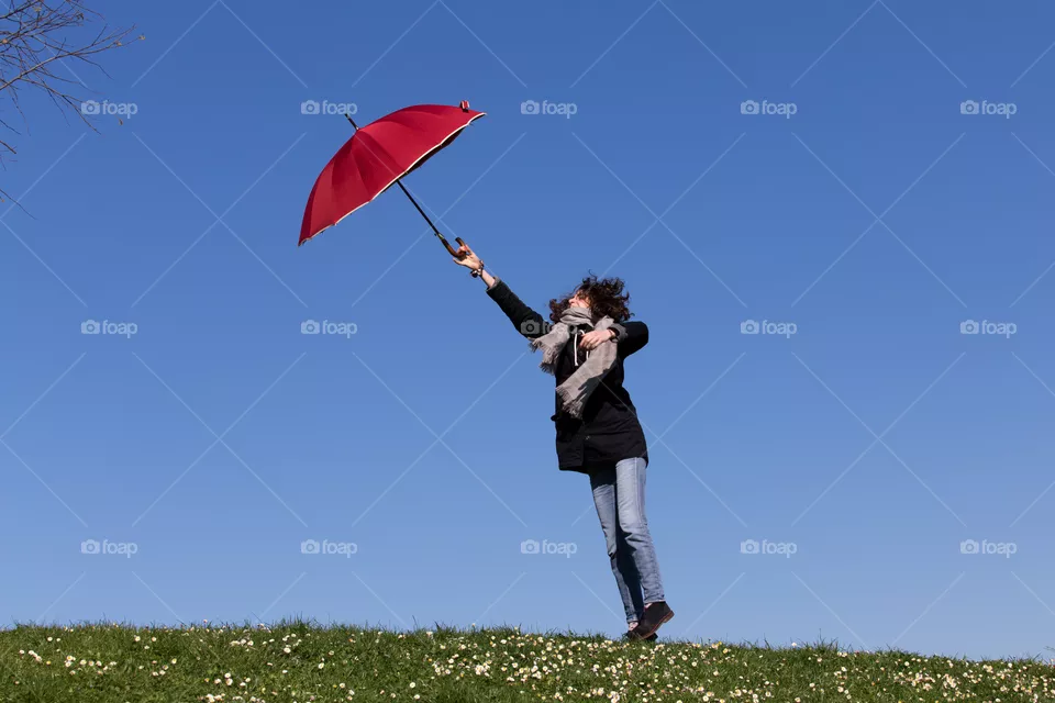 Umbrella 