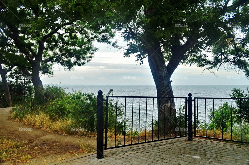 A mood’s color: grey 😜