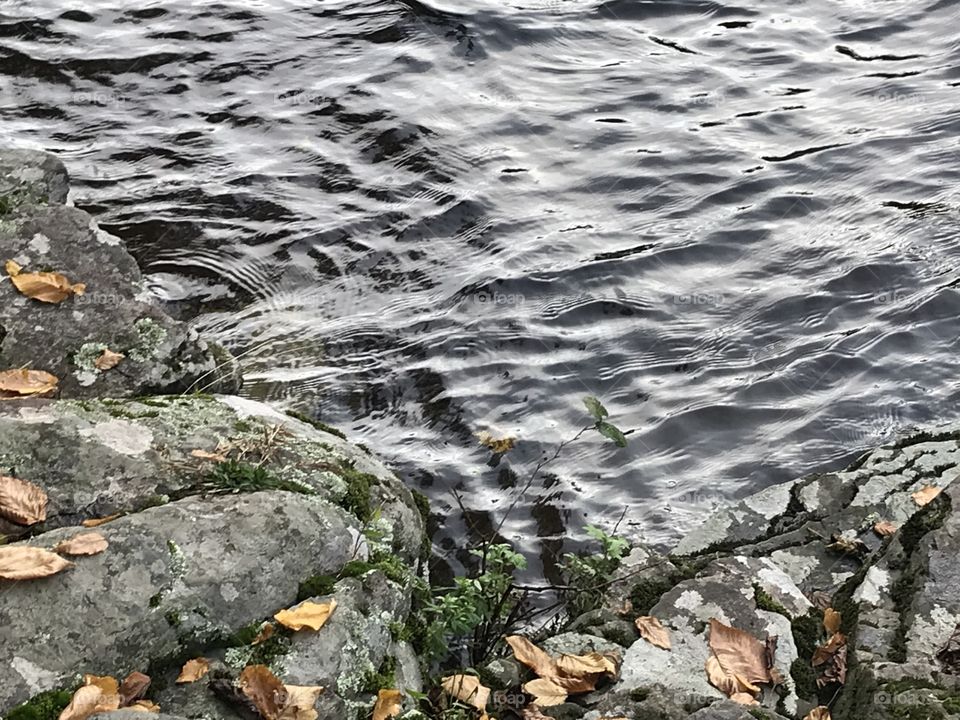 River in fall season
