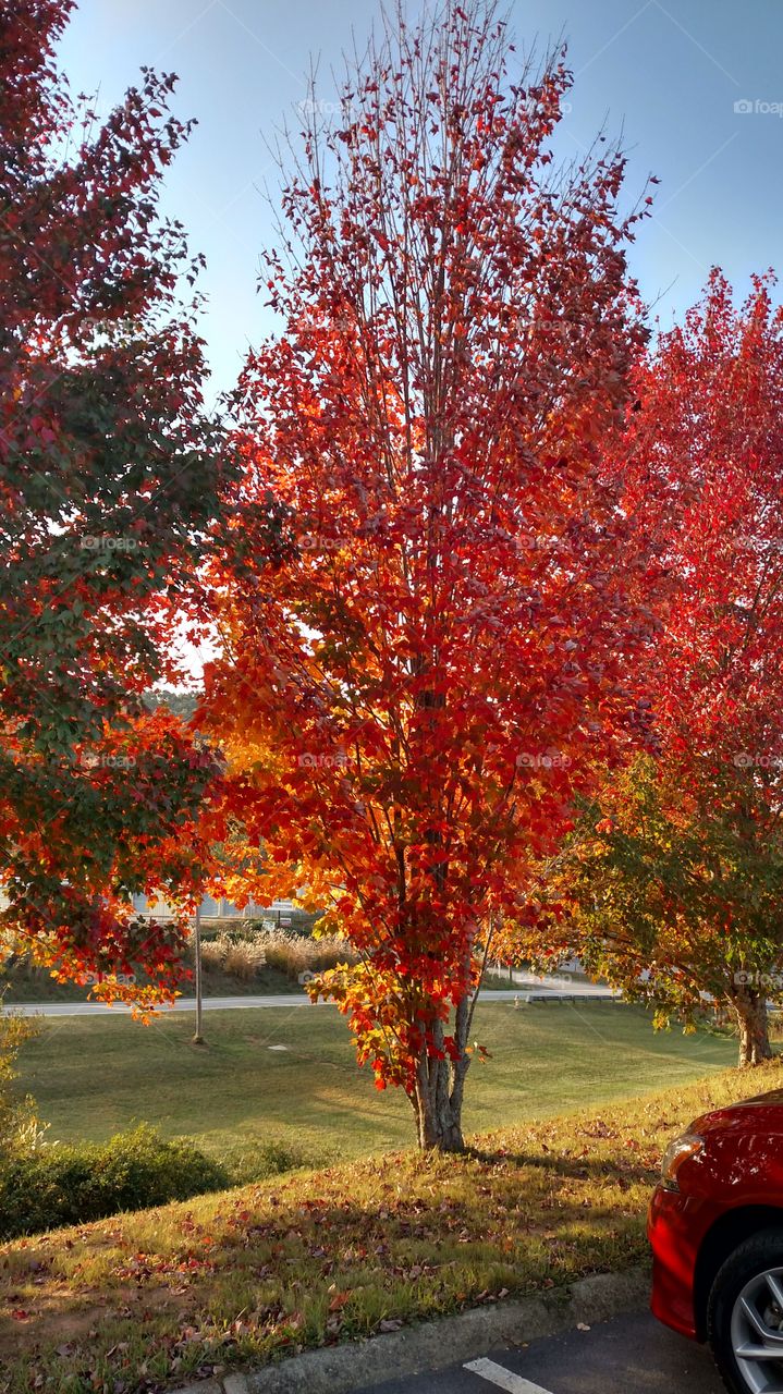 Autumn at its finest