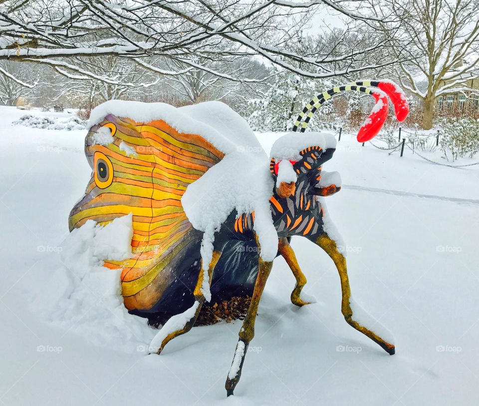 Snow covered butterfly sculpture 