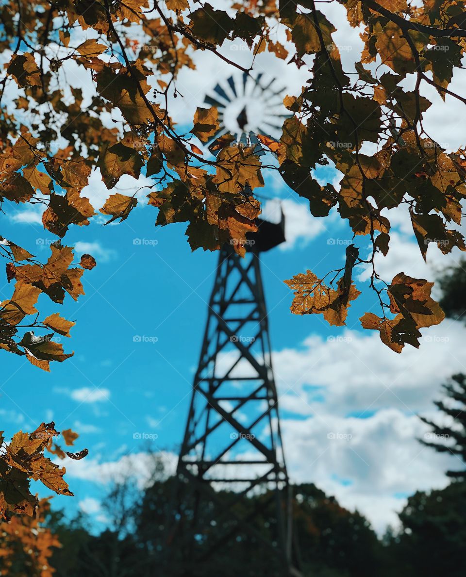 Windmill Through The Fall Trees, Windmill In The Autumn, Windmill On The Farm, Different Viewpoint, On A Farm, Focused Point Of View 