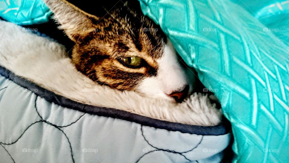 puuuurfect day to avoid!