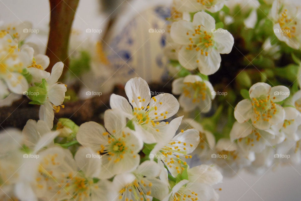 spring white easter easter egg by Nikita80