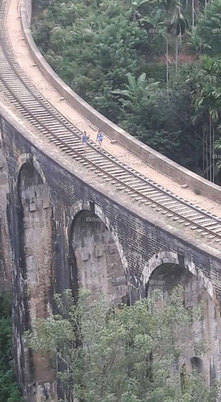train road  ell srilanka