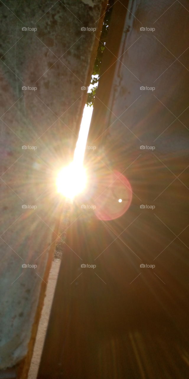 Sun