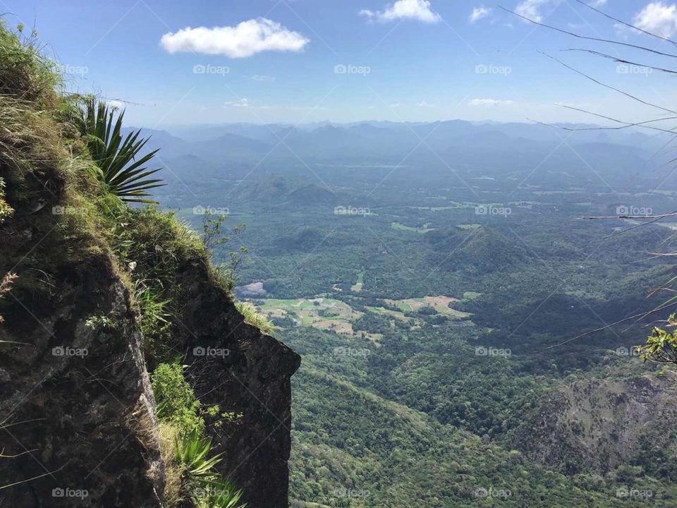 Nature create beauty