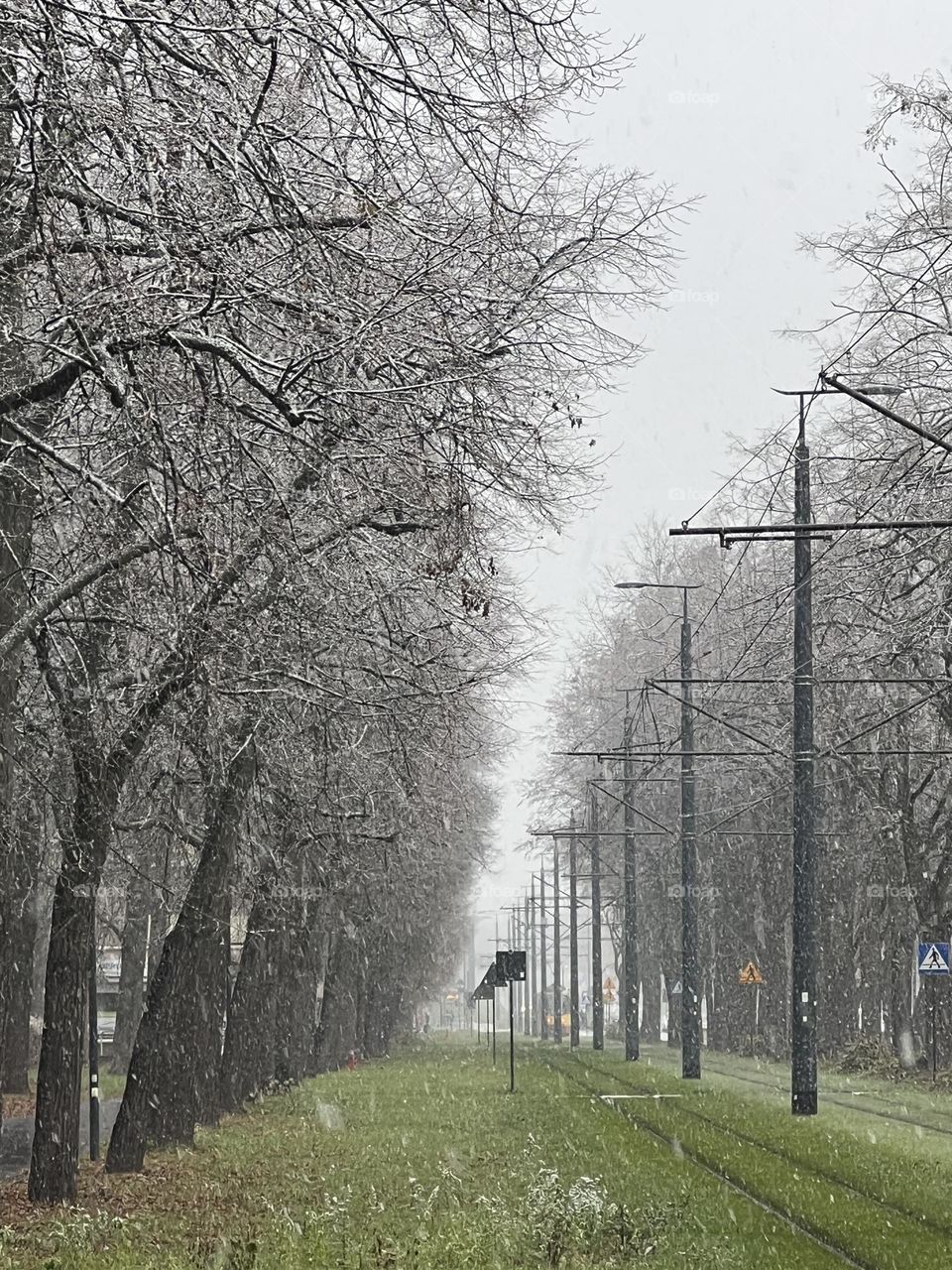 Green grass, bare trees and the first snow..