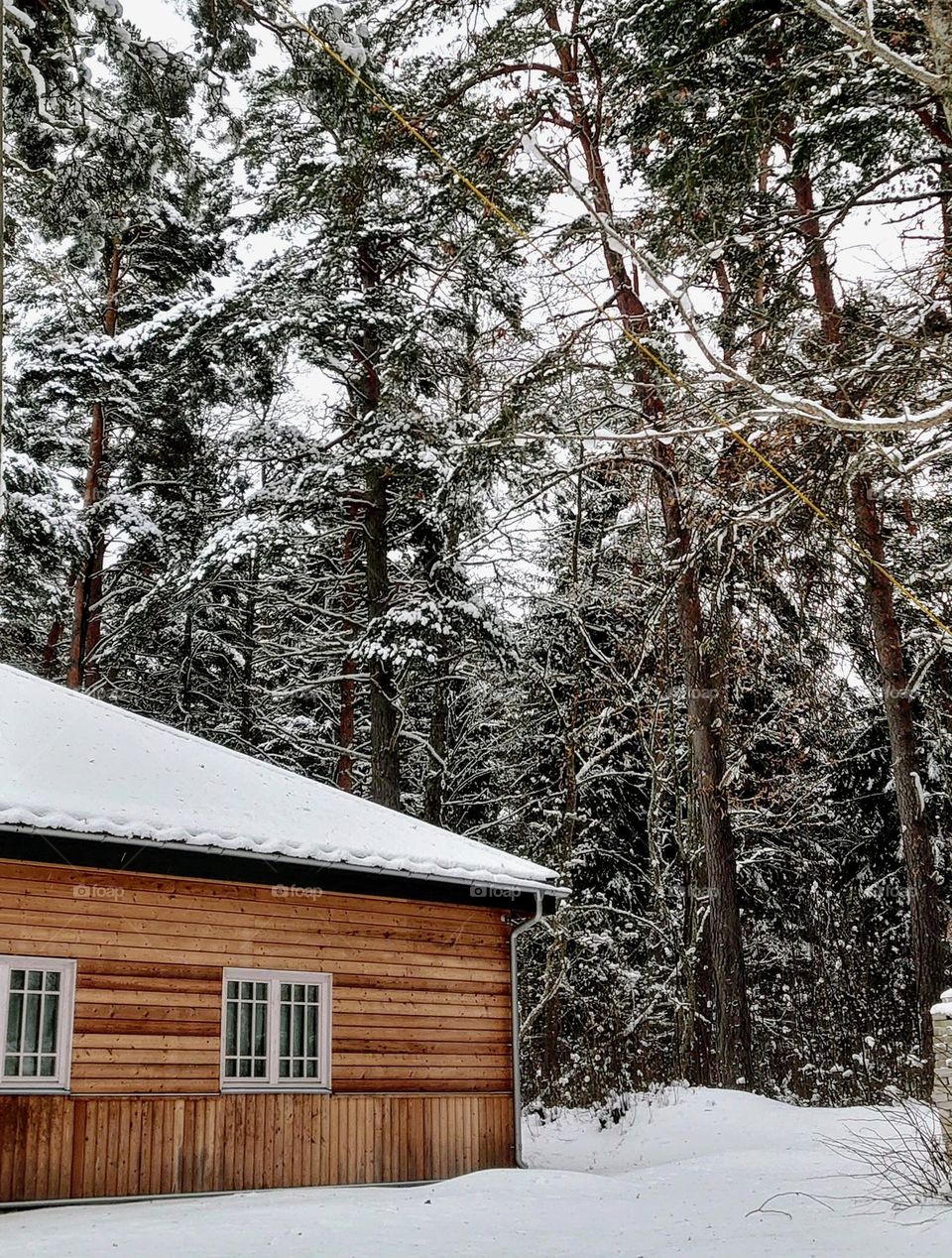 Winter time ❄️ Wooden house 🏠 Forest 🌲