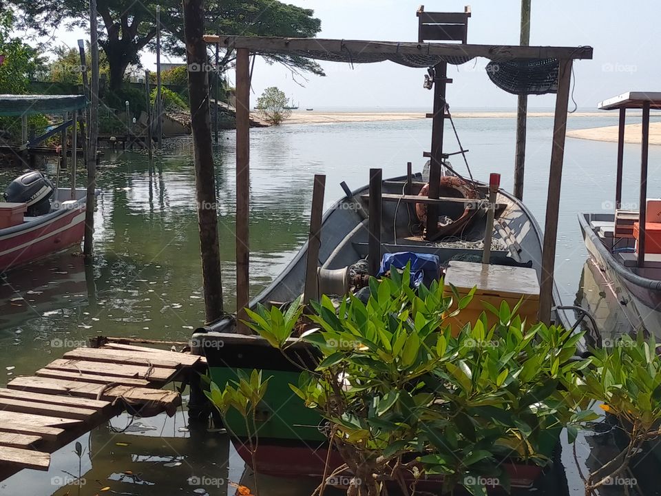 Snake River Island 🏝️