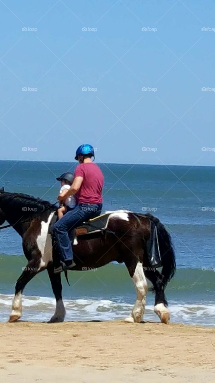 horseback riding