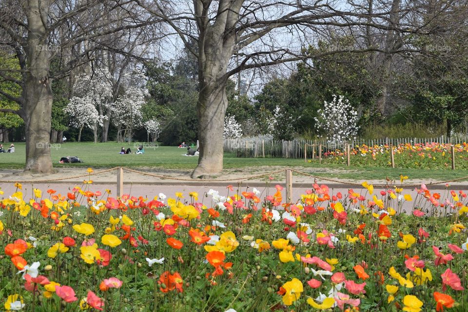 Spring has spring in Lyon