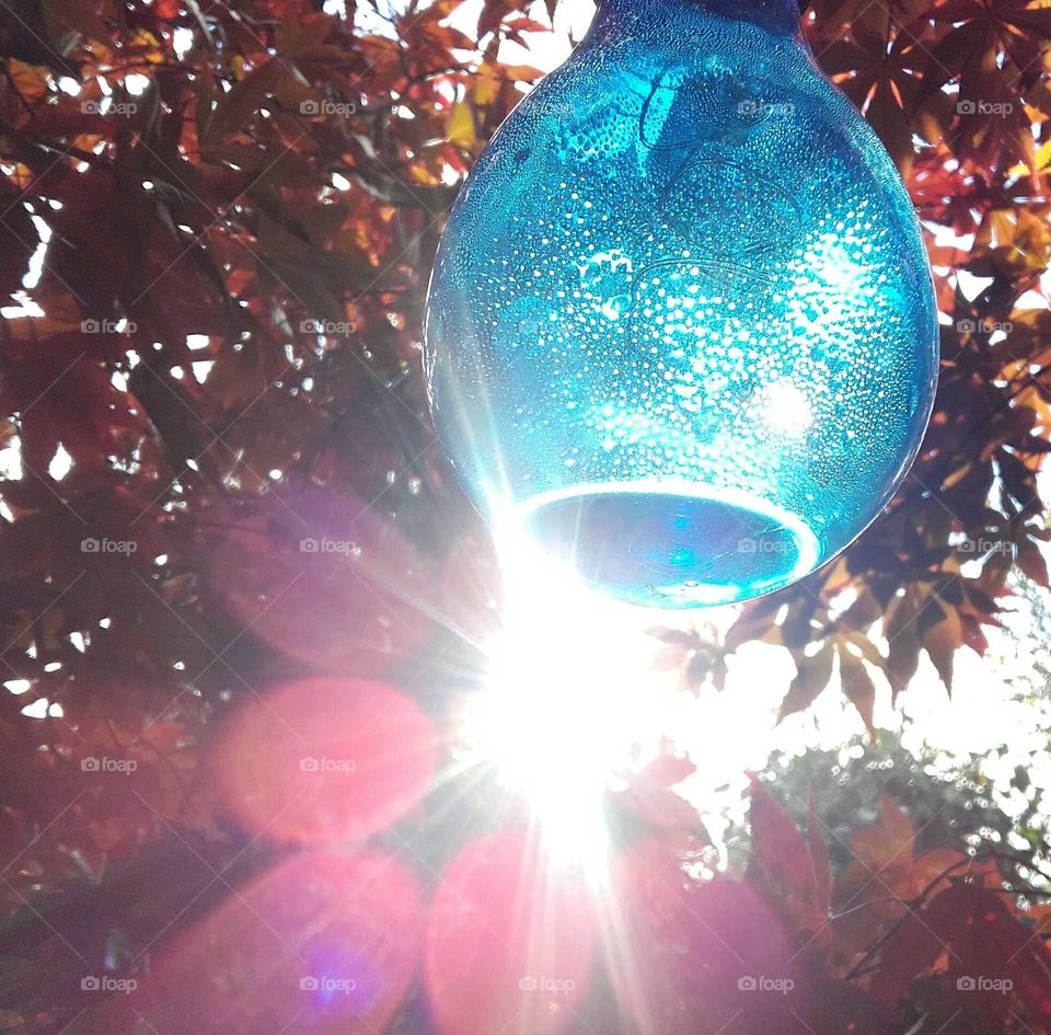 Blue glass tree ornament backlit by rays of light from setting evening sun