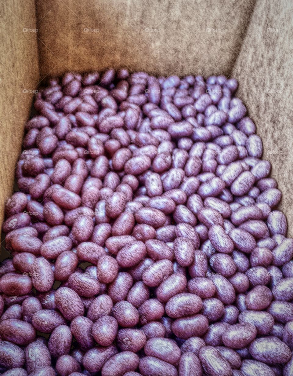 Purple Jelly Beans