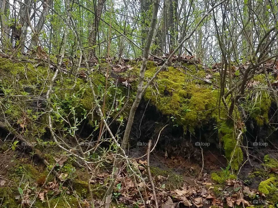 Driving the Back Roads and enjoying everything around us