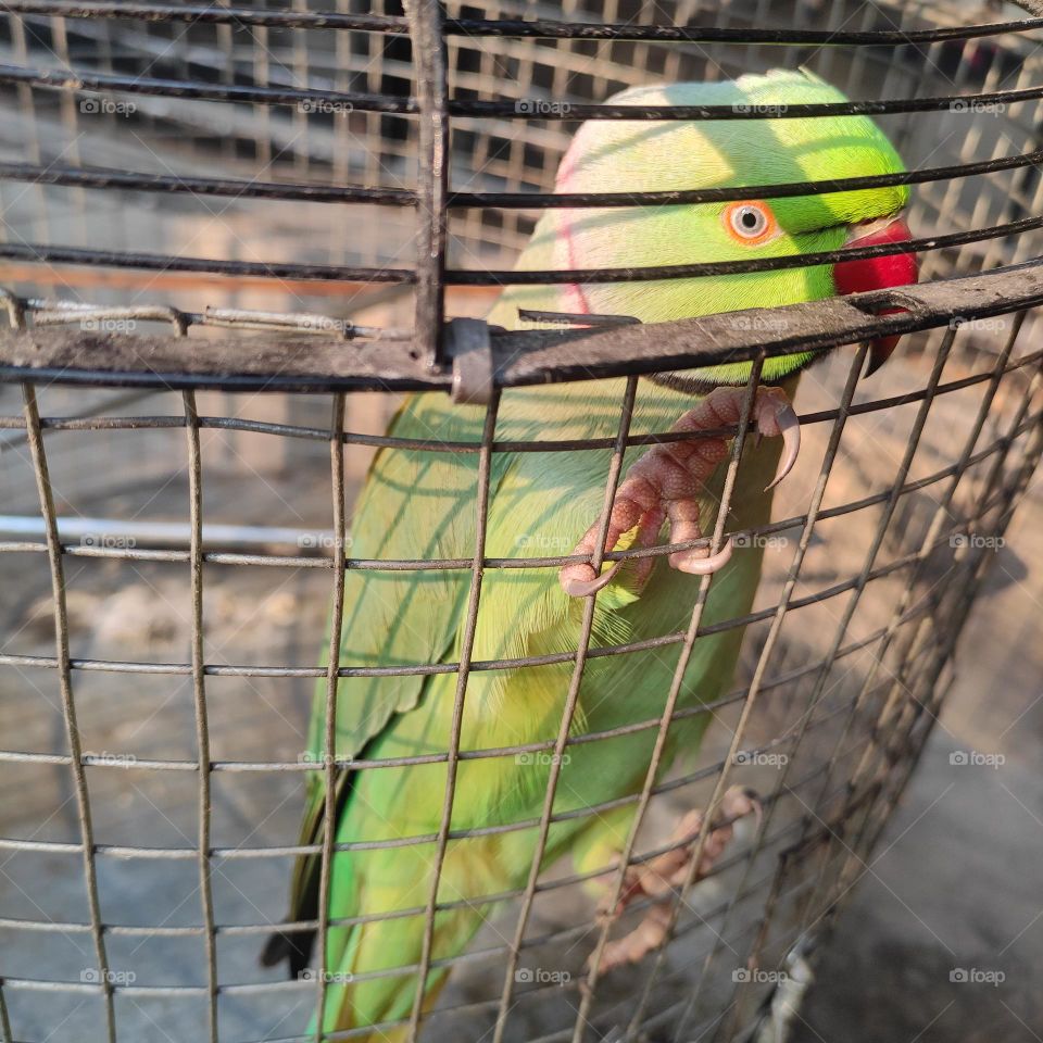 Taking Sunlight in Winter