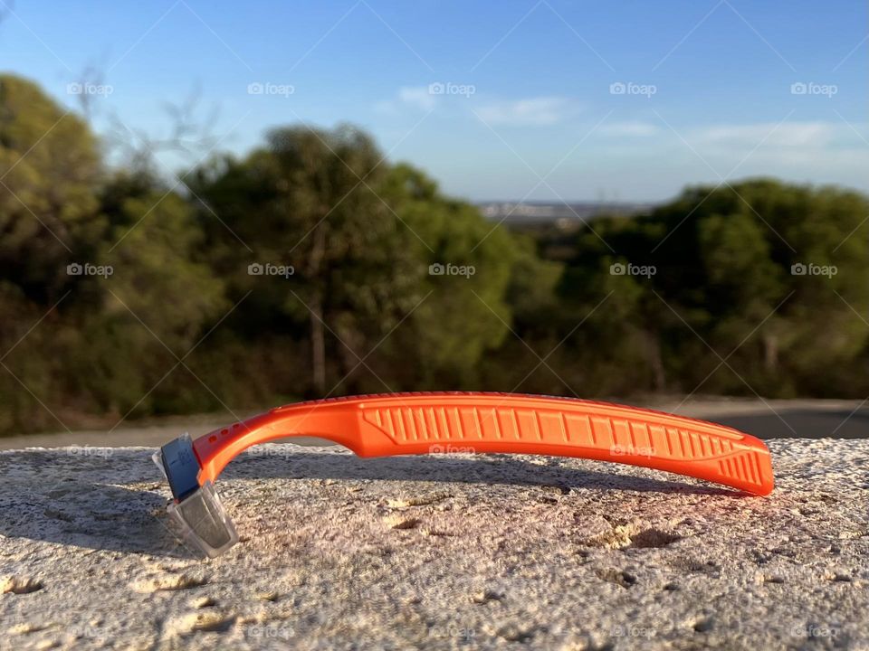 Orange razor on the terrace wall with trees 