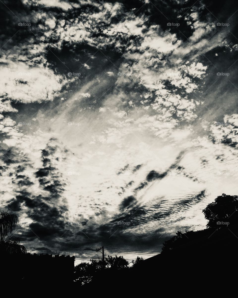 FOAP MISSIONS - Winter brings us clear signs of introspection, but also abstract signs of beauty.  Look at the sky mixed with the earth! /O inverno traz sinais claros de introspecção, mas também abstratos de beleza. Vejam o céu misturado com a terra!