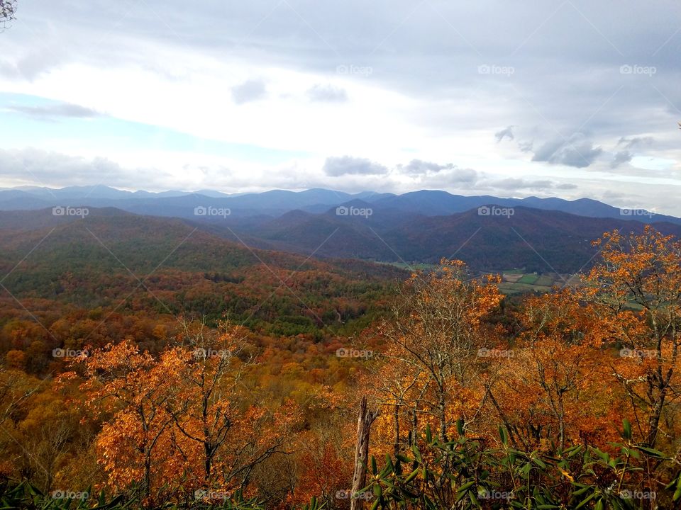 Fall in north georgia