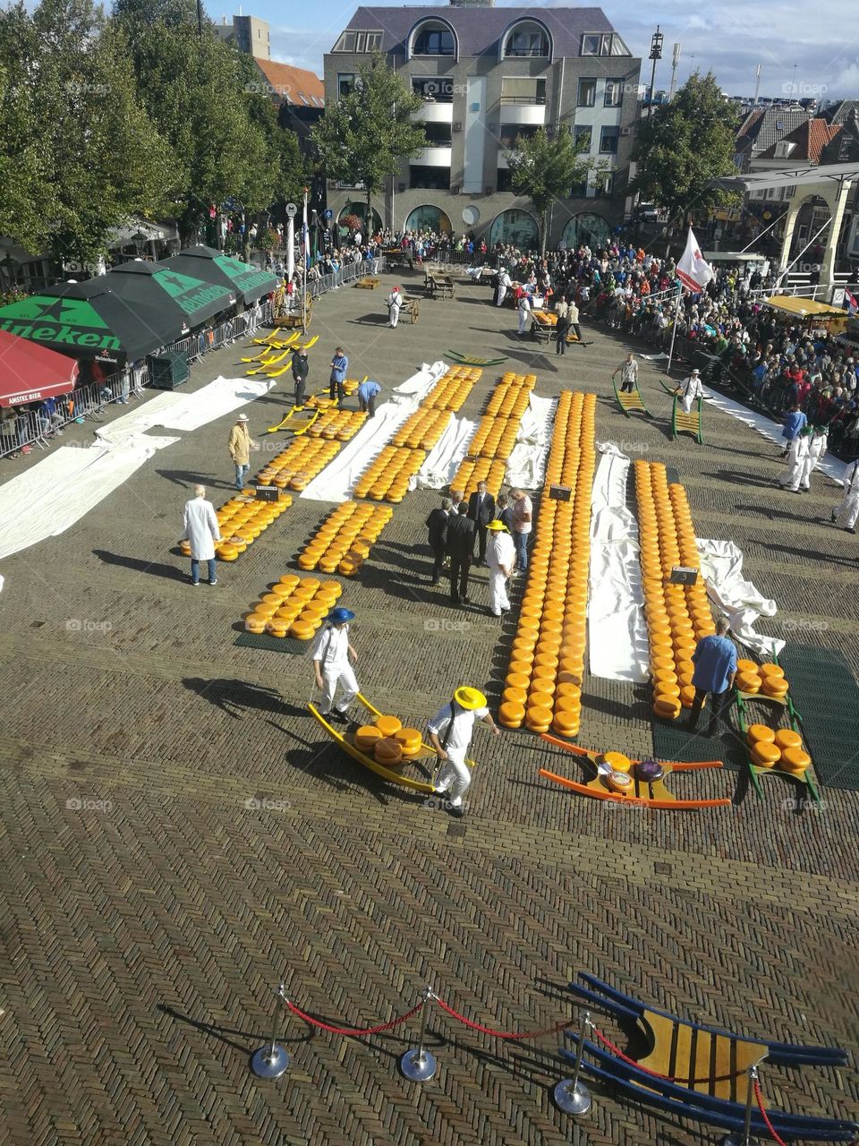 Alkmaar, the oldest Cheese Market in Netherlands