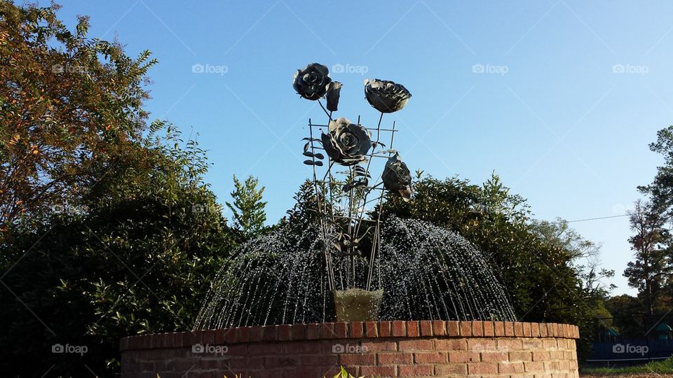 Edisto Memorial Gardens