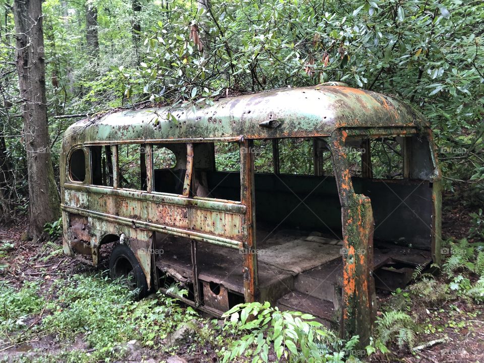 Lost school bus 