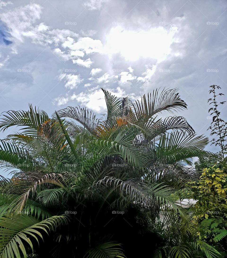 wonderful mother nature