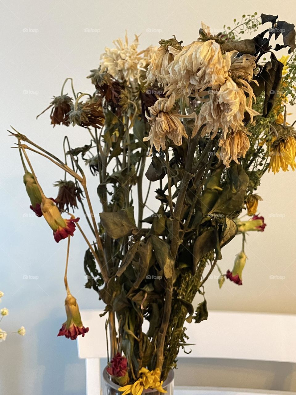Dead flowers in a glass vase, left over from Christmas, all browned, drooping, withered, discoloured, broken and sad looking