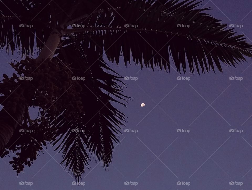 In Sarasota, Florida