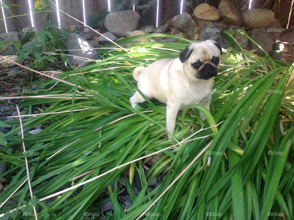 Penny finds a comfortable garden seat