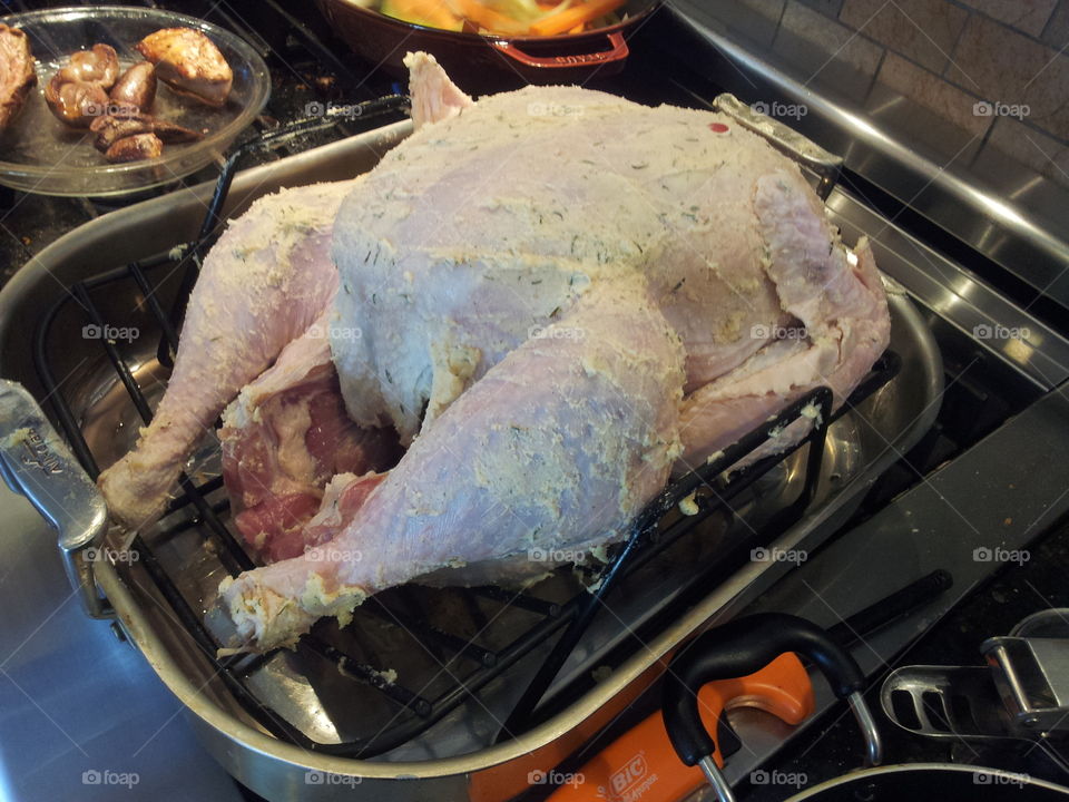 2017 Thanksgiving turkey 