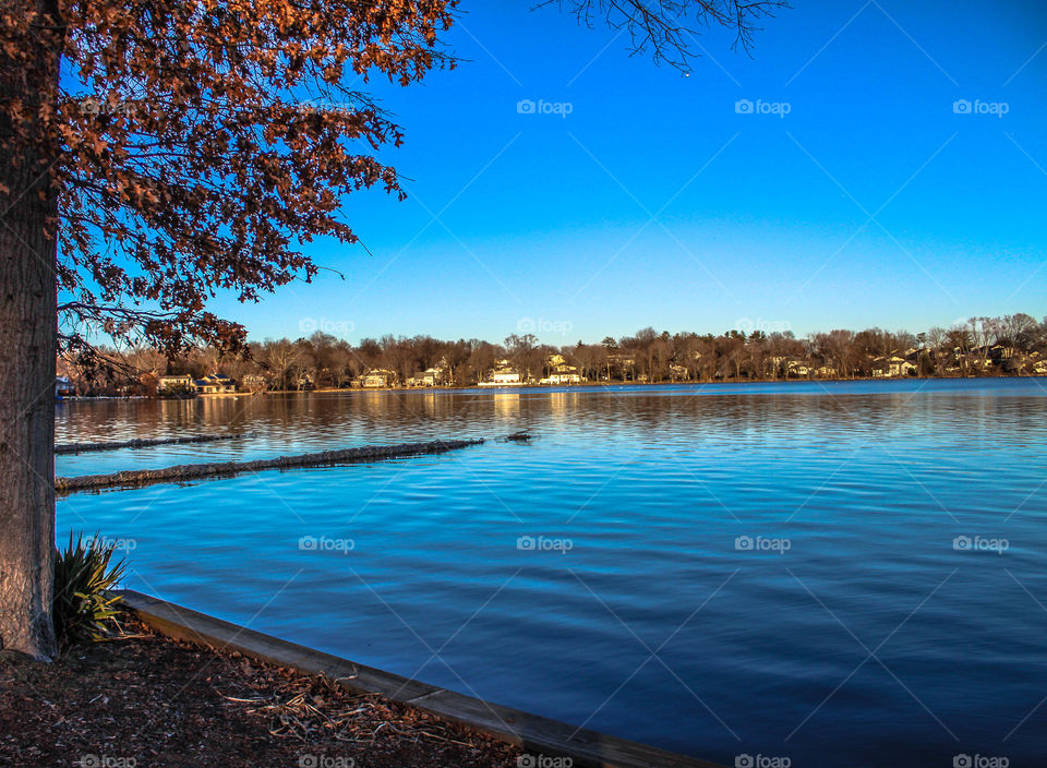 Evening light at the lake