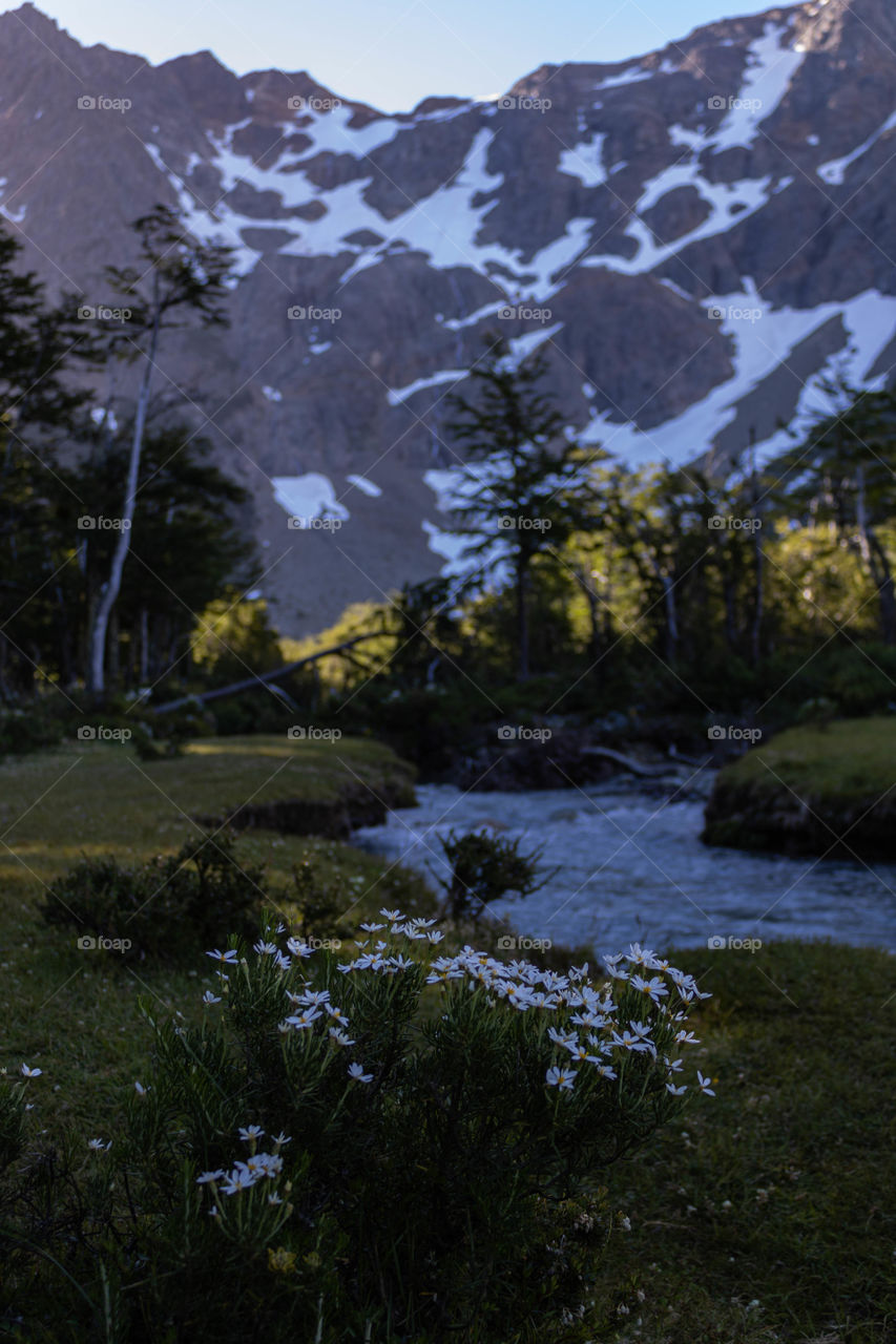 hielo azul- Patagonia