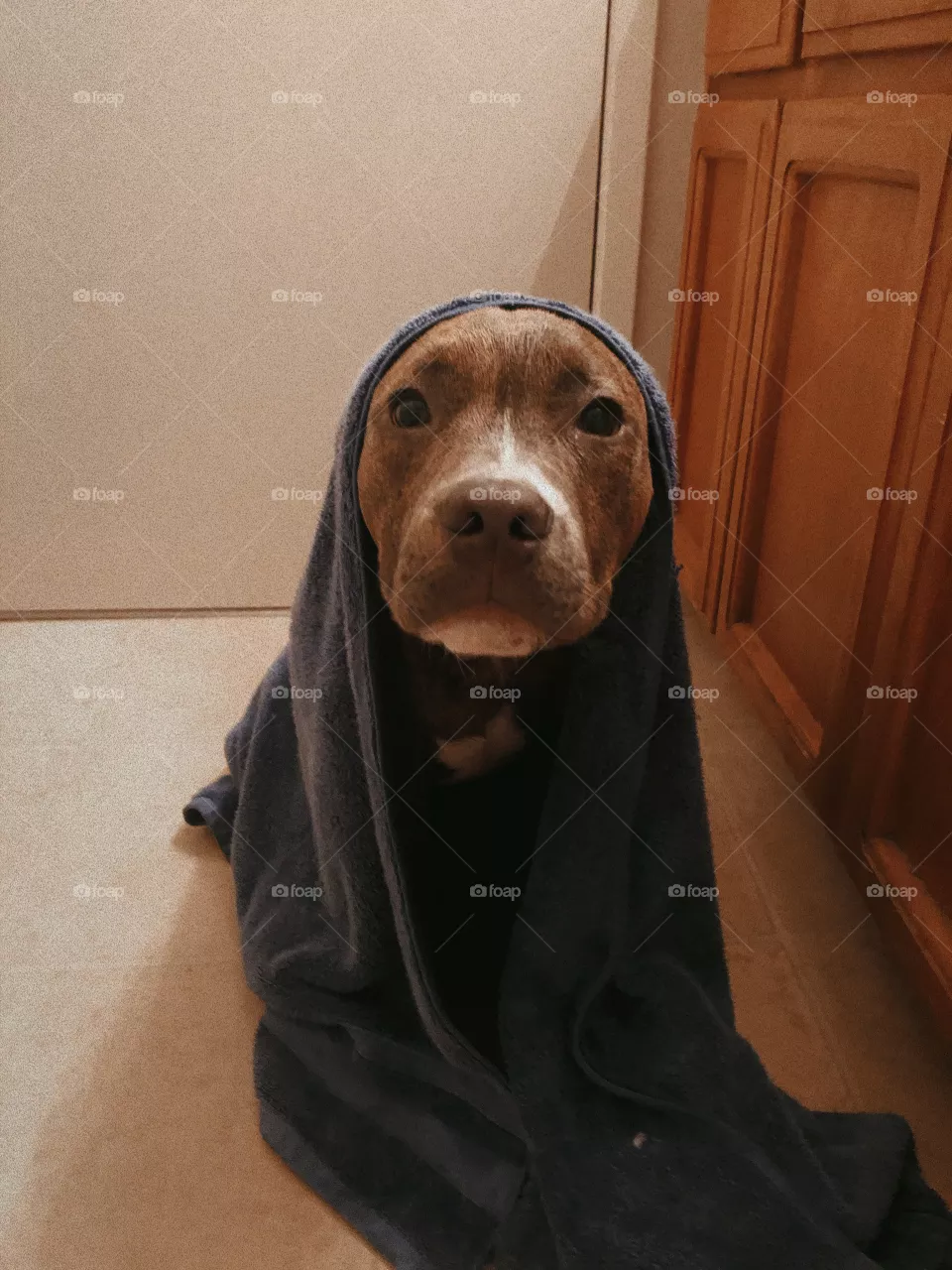 Bath Time