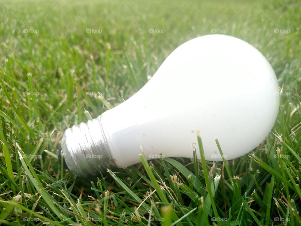 Lightbulb on the grass.