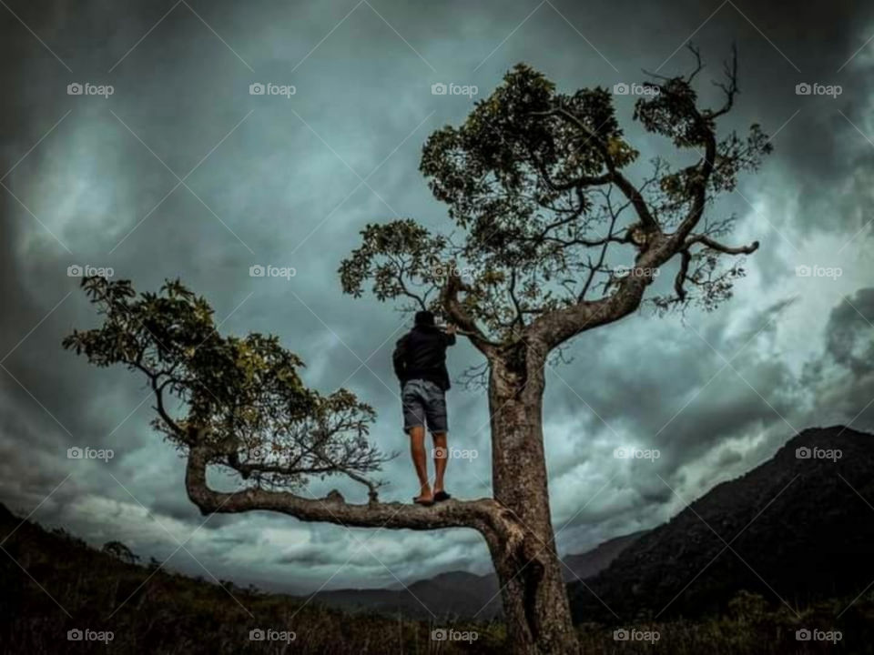 wonder of the evening