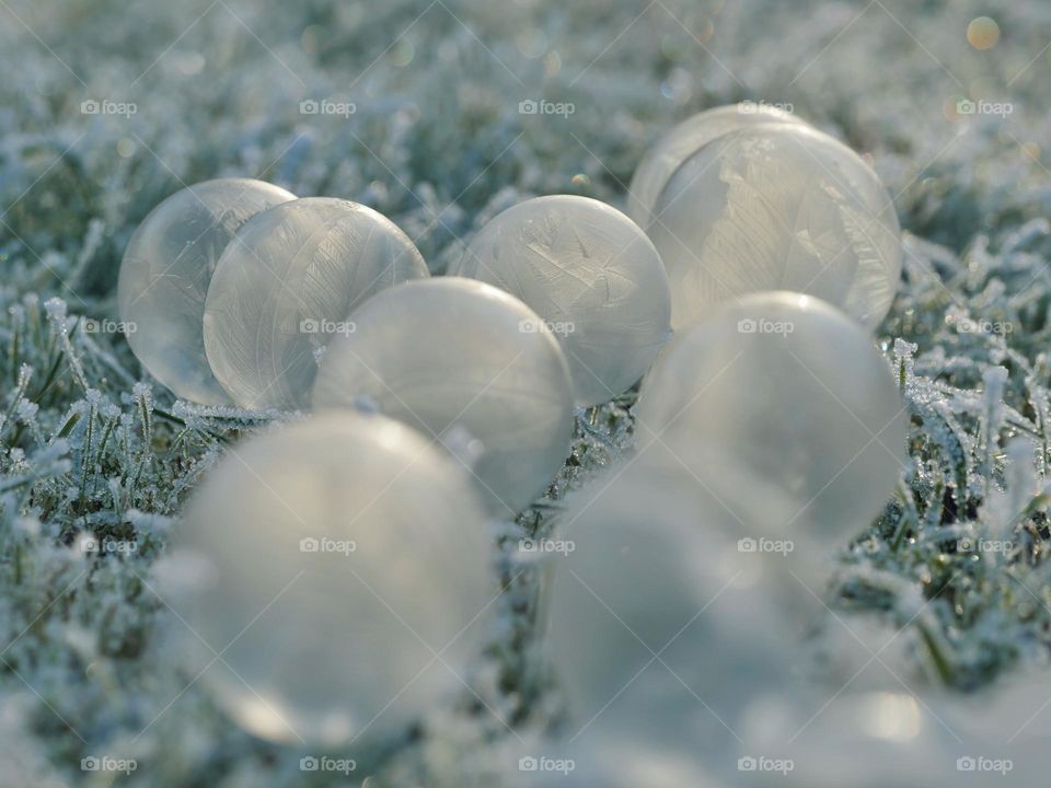 Frozen soap bubbles