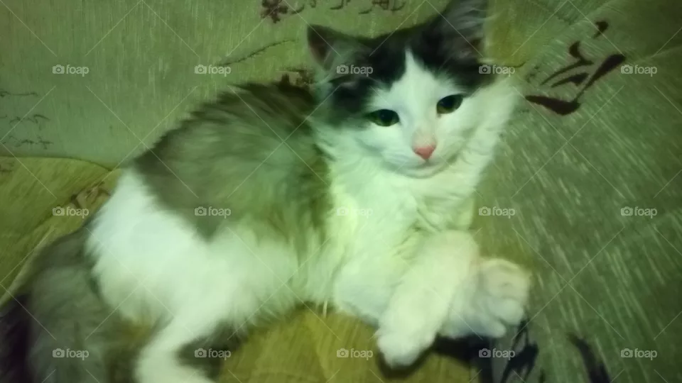 Кузя