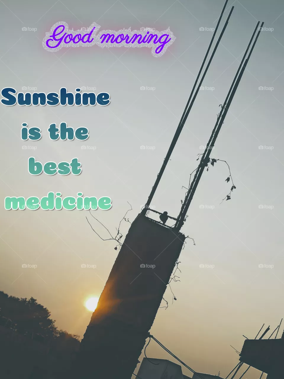 good morning
