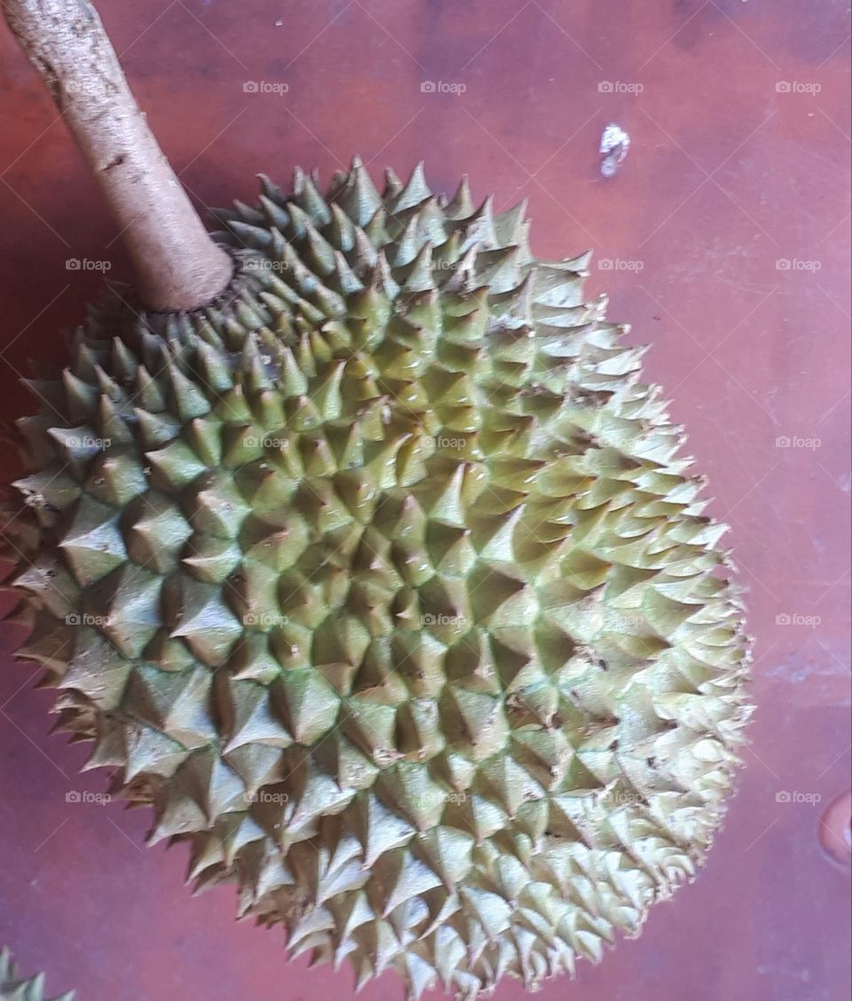 Durian king of fruit