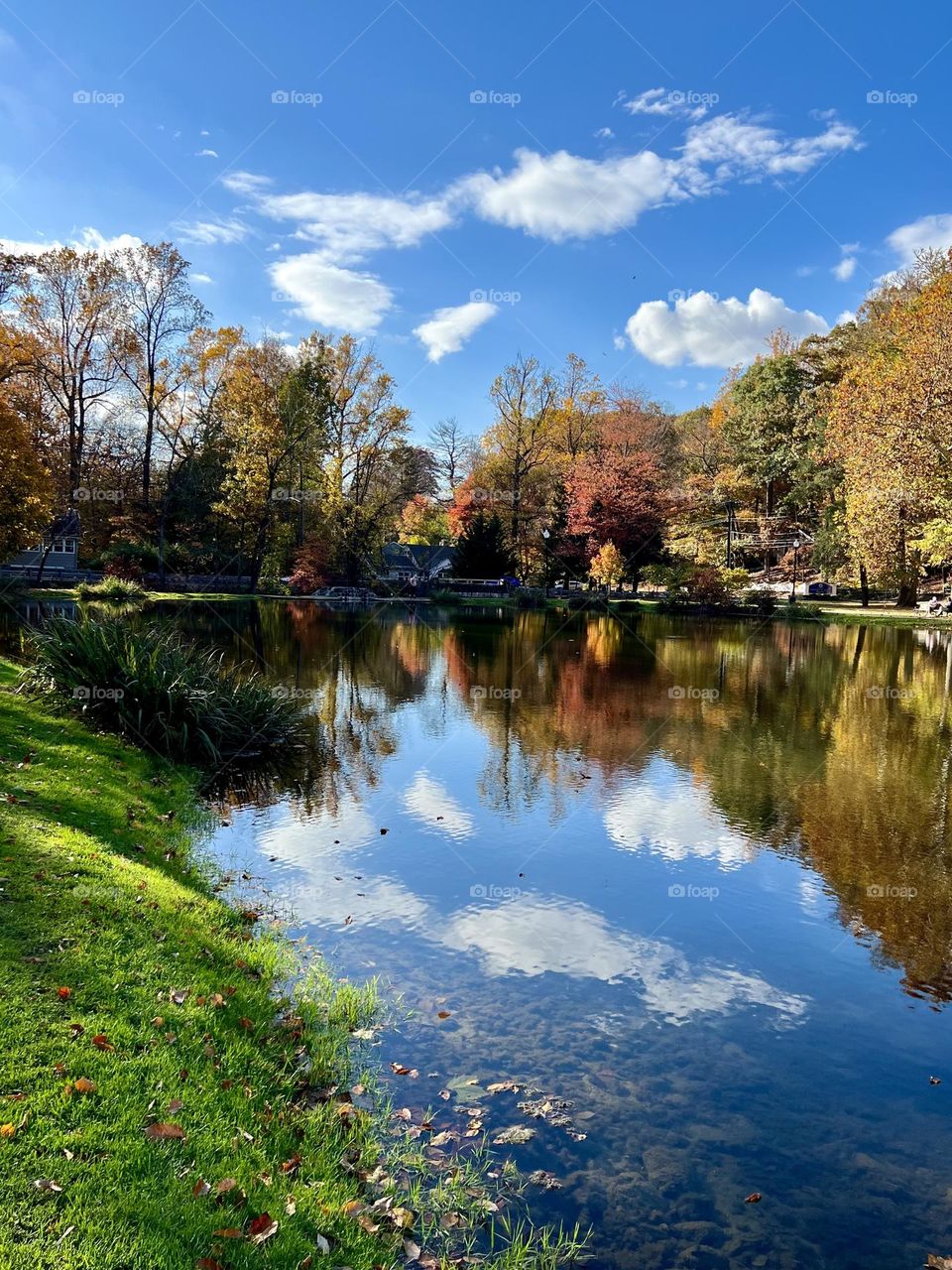 I never want to “leaf” this beautiful place. 🍁