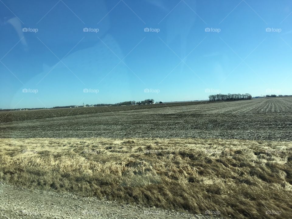 Illinois field