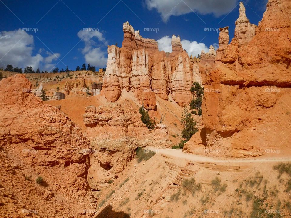 Hiking through a national park