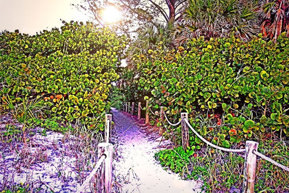 Beach path