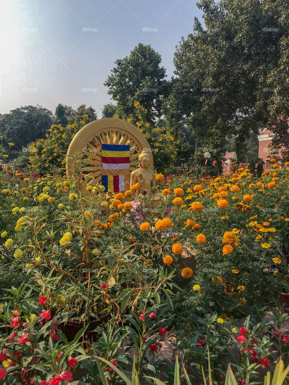 Serene Buddha in the garden of flowers ..